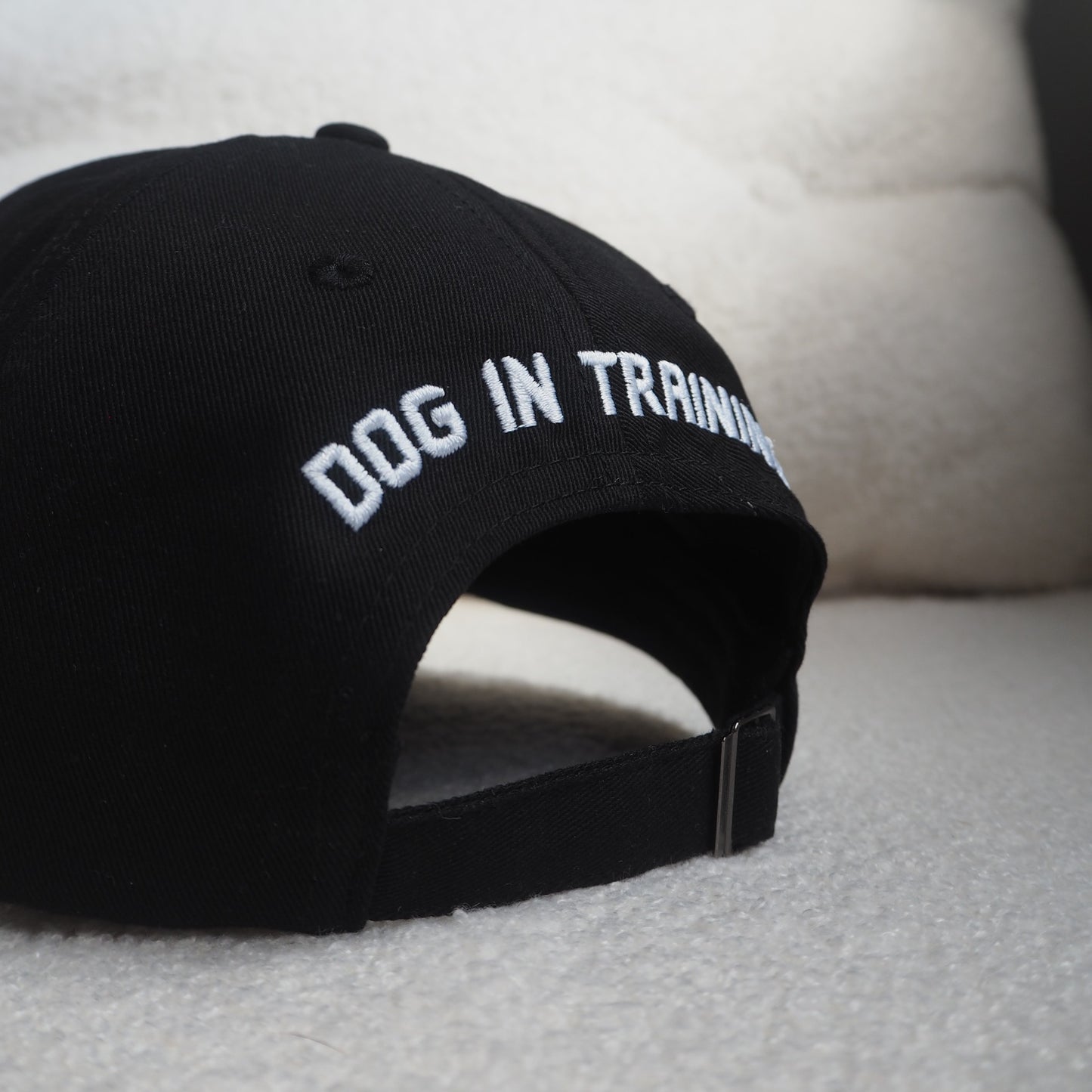 dog training cap